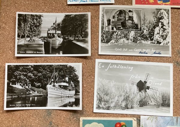 galleryimage 3