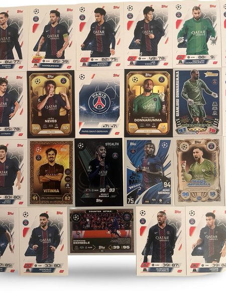 galleryimage 2 zoomed in