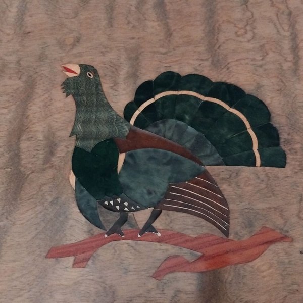 galleryimage 2