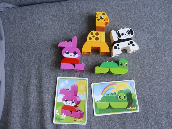 galleryimage 3
