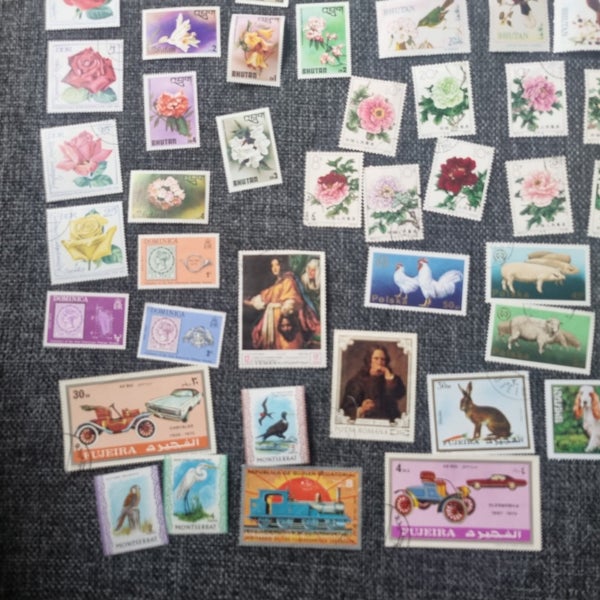 galleryimage 2