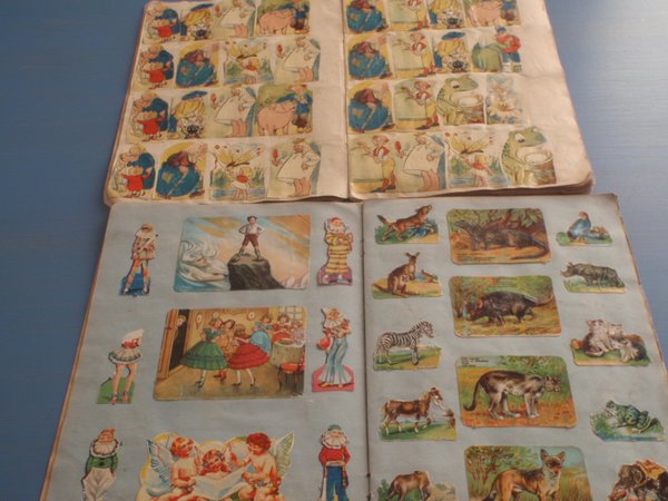 galleryimage 3