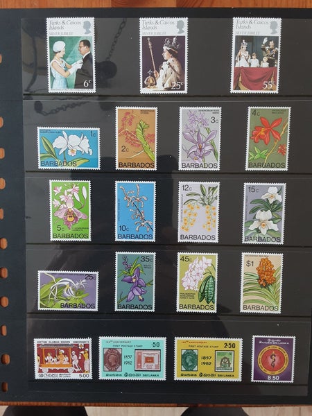 galleryimage 3