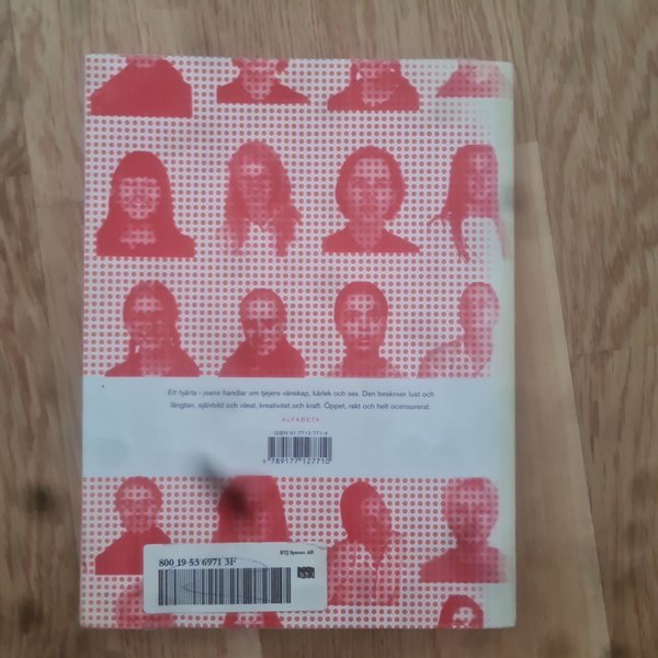 galleryimage 2 zoomed in