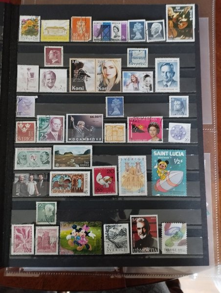 galleryimage 2 zoomed in