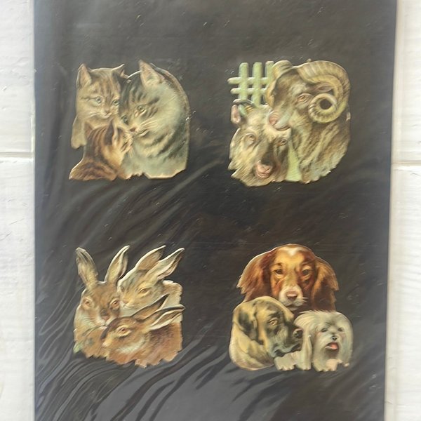 galleryimage 3
