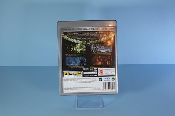 galleryimage 2