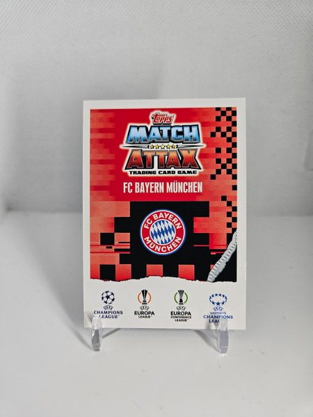 galleryimage 2 zoomed in