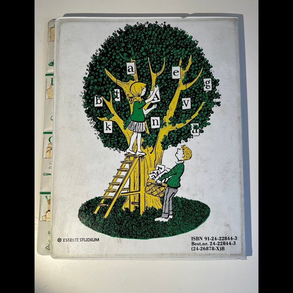 galleryimage 3