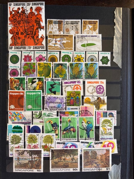 galleryimage 3