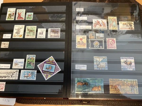 galleryimage 3