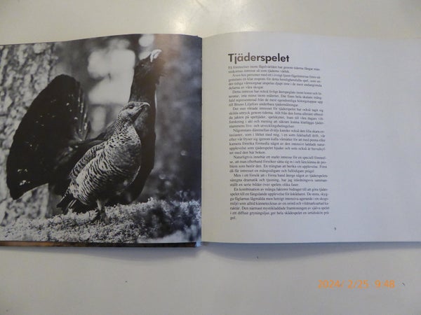 galleryimage 3