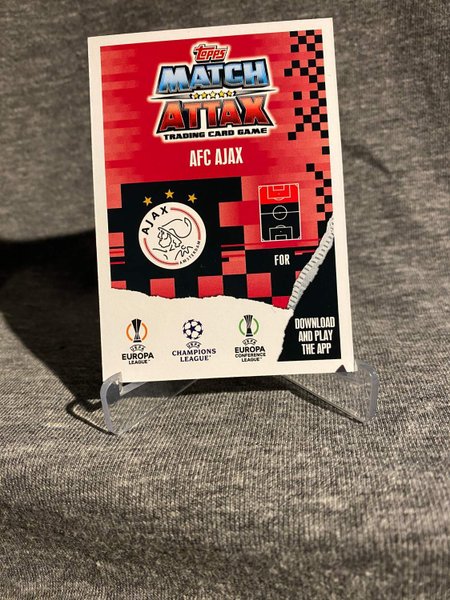 galleryimage 2 zoomed in