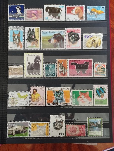 galleryimage 2 zoomed in