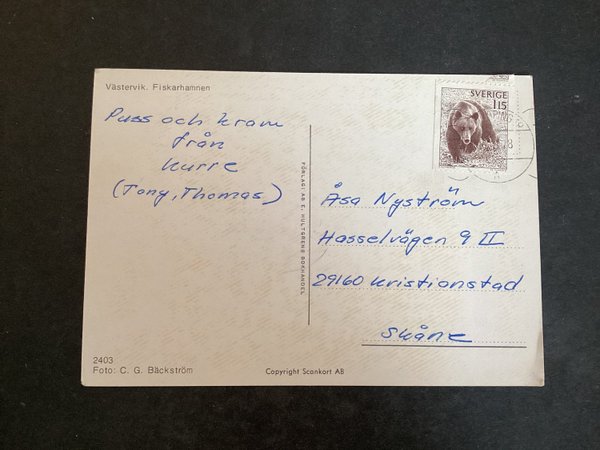 galleryimage 2 zoomed in