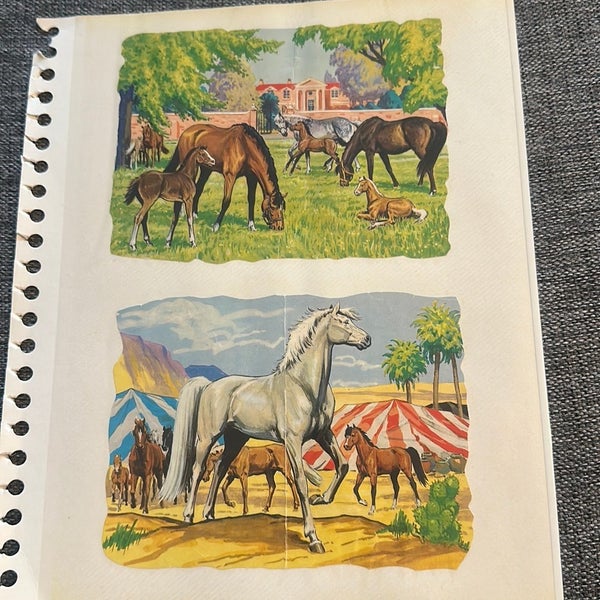 galleryimage 2