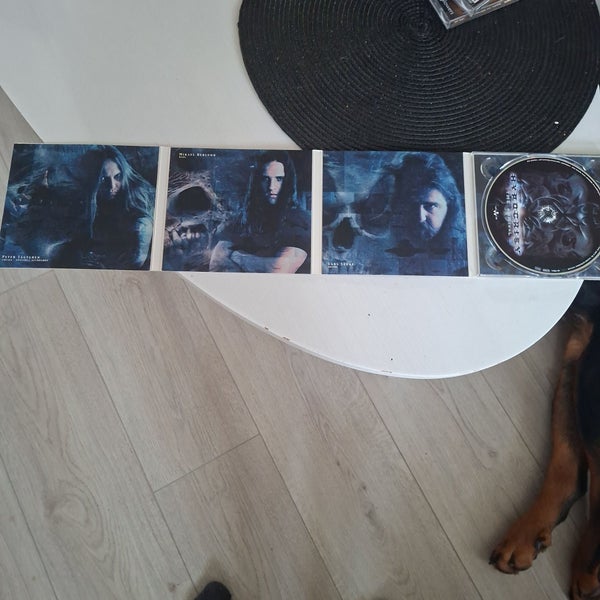 galleryimage 3