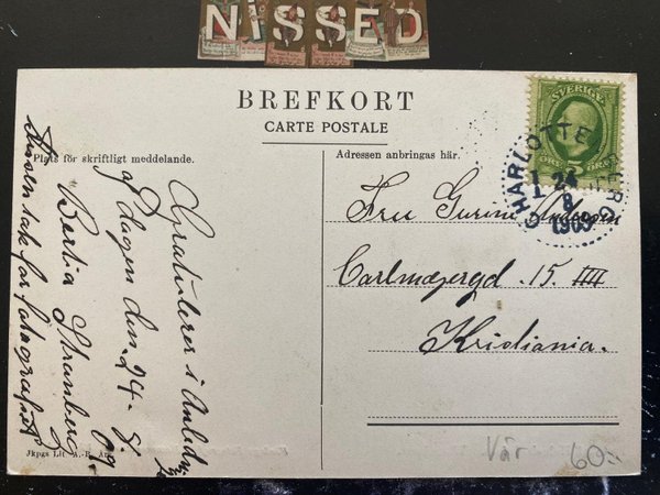 galleryimage 2 zoomed in