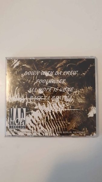 galleryimage 2