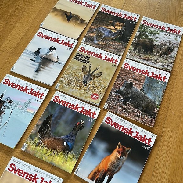 galleryimage 2