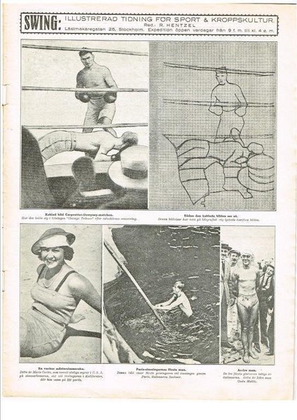 galleryimage 3