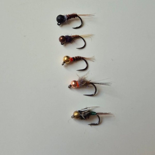 galleryimage 2 zoomed in