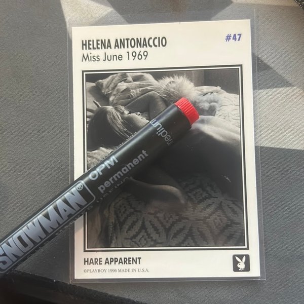 galleryimage 2 zoomed in