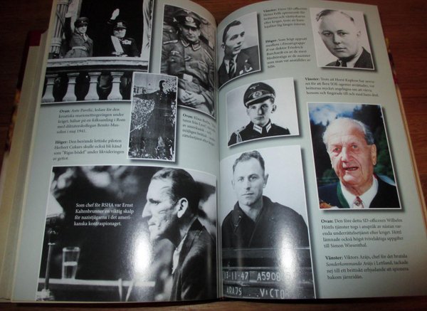 galleryimage 2 zoomed in