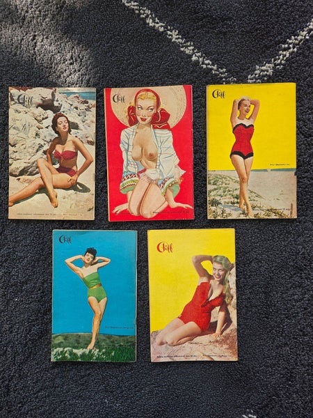 galleryimage 2 zoomed in
