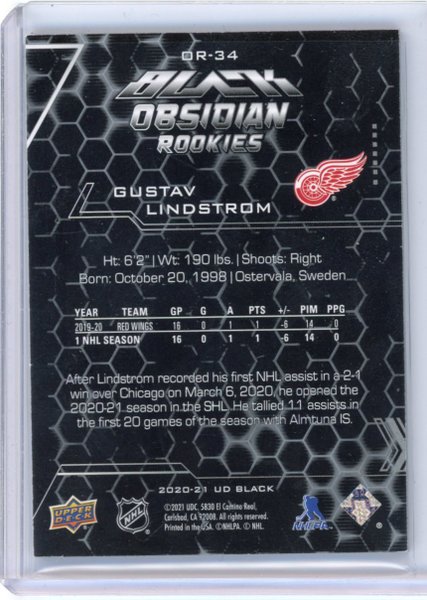 galleryimage 2 zoomed in