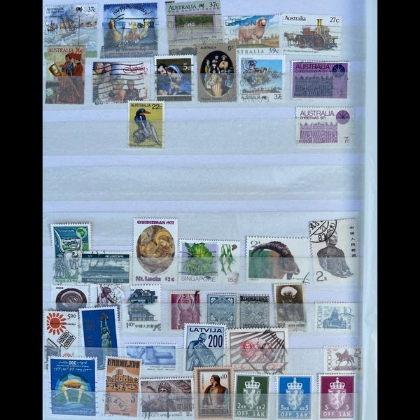 galleryimage 3