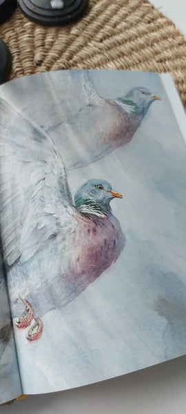 galleryimage 3
