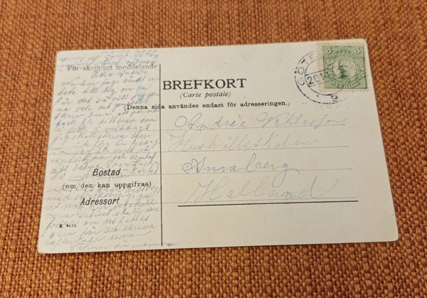 galleryimage 2 zoomed in