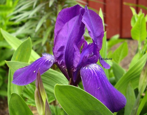 galleryimage 2