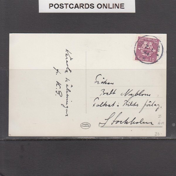 galleryimage 2 zoomed in