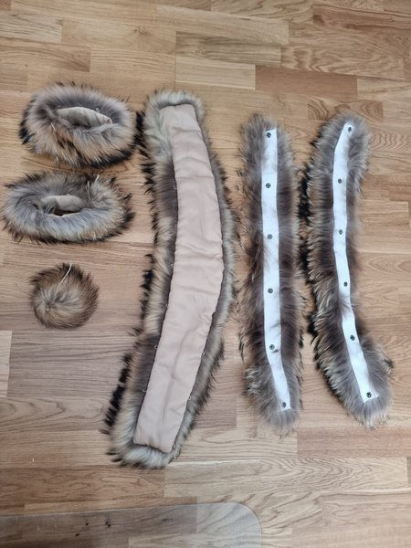 galleryimage 2 zoomed in