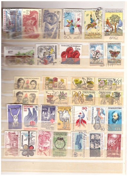 galleryimage 3