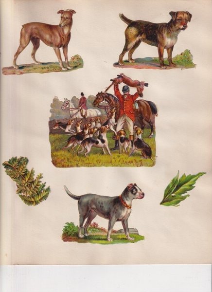 galleryimage 2