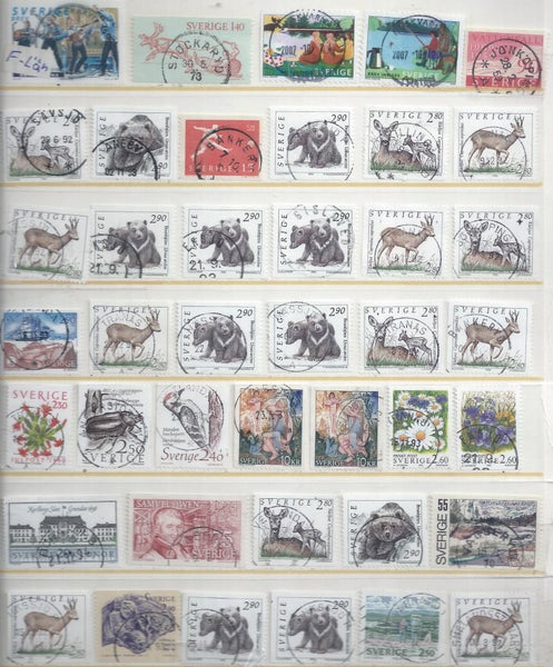 galleryimage 3