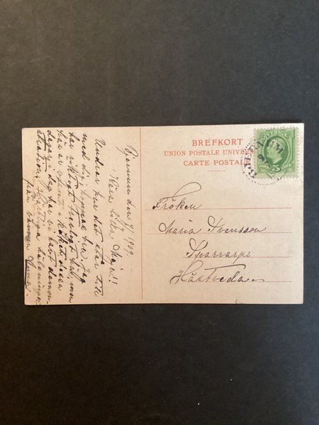 galleryimage 2 zoomed in