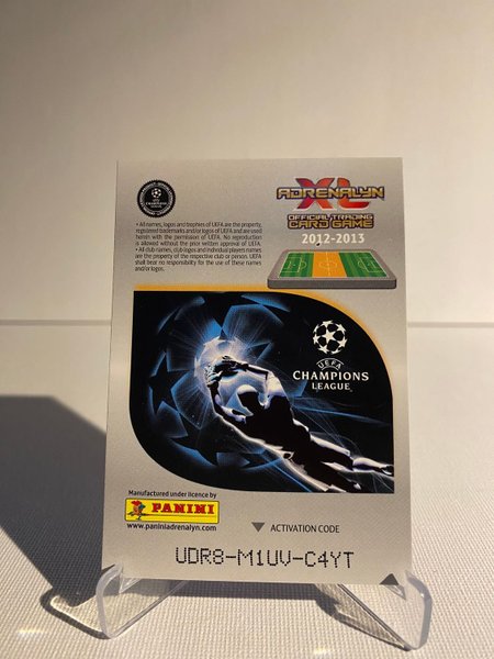 galleryimage 2 zoomed in