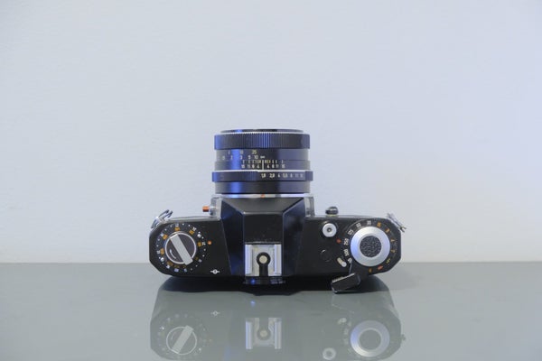 galleryimage 3