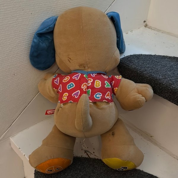 galleryimage 2