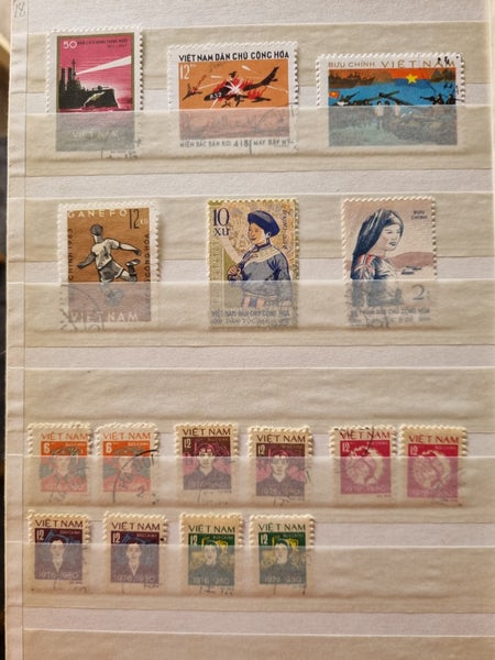 galleryimage 3