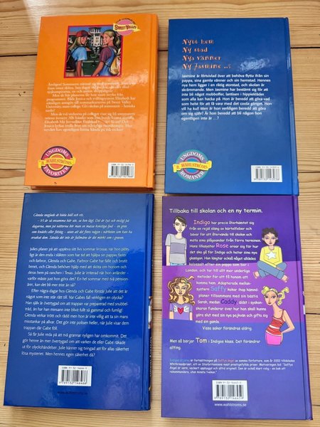 galleryimage 2 zoomed in