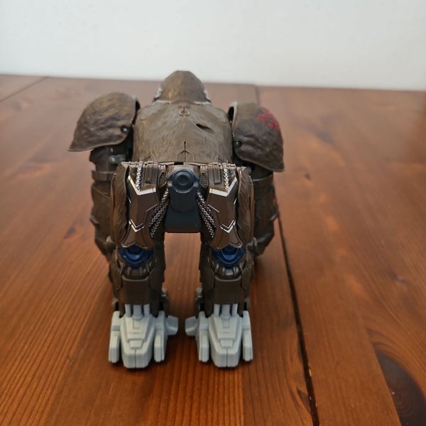 galleryimage 3