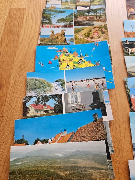 galleryimage 3