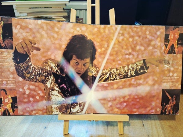 galleryimage 3