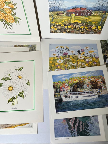galleryimage 2
