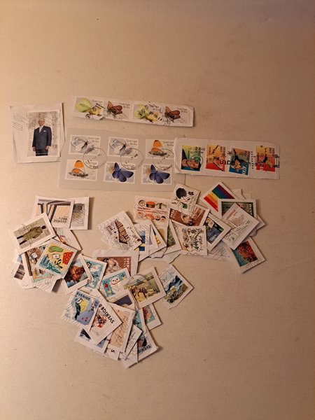 galleryimage 2 zoomed in